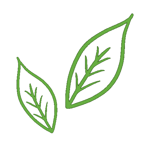 Weight Berry