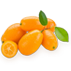 władza